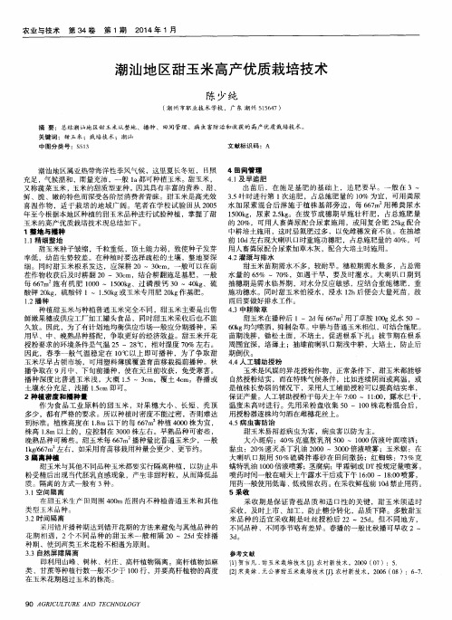 潮汕地区甜玉米高产优质栽培技术