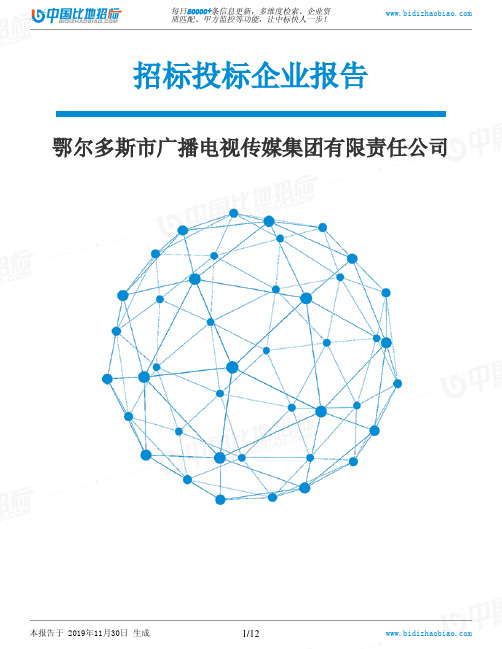 鄂尔多斯市广播电视传媒集团有限责任公司-招投标数据分析报告