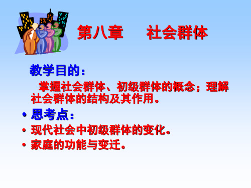 社区 第八章社会群体1