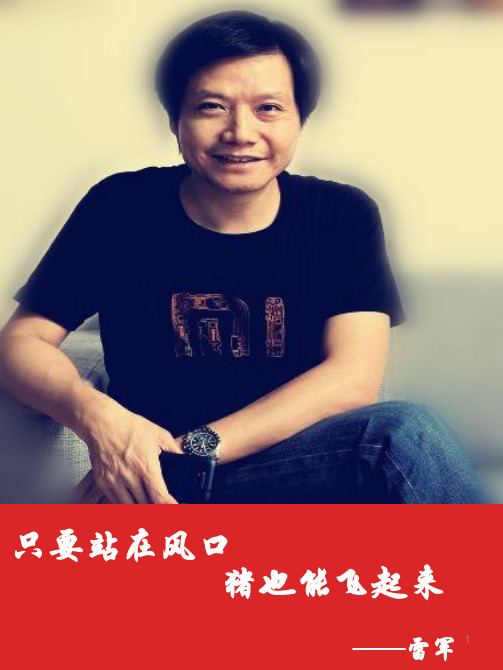 雷军成功之路ppt课件