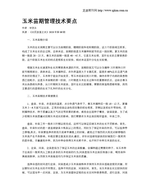 玉米苗期管理技术要点