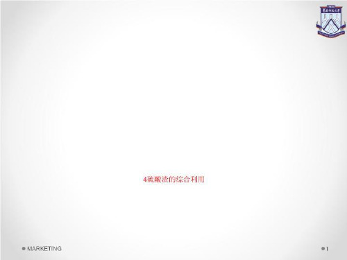 4硫酸渣的综合利用