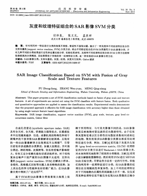 灰度和纹理特征组合的SAR影像SVM分类