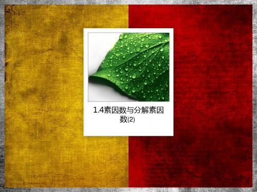 1.4素因数与分解素因数(2)