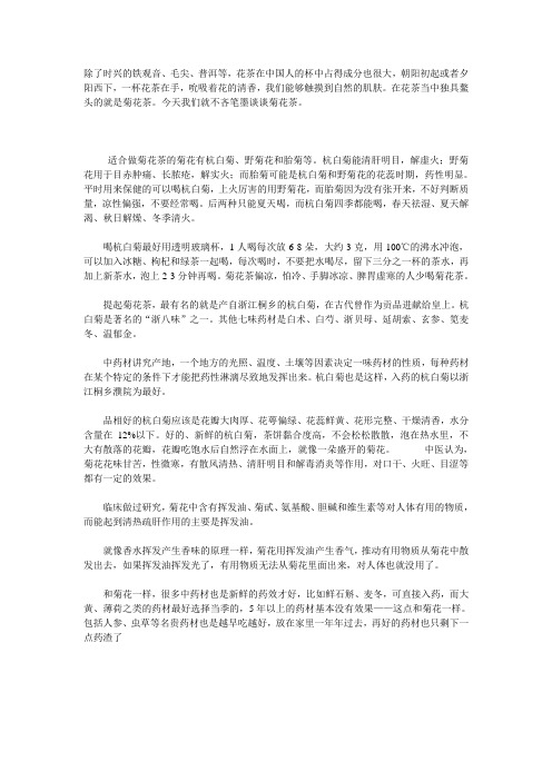 解读菊花茶该怎么喝