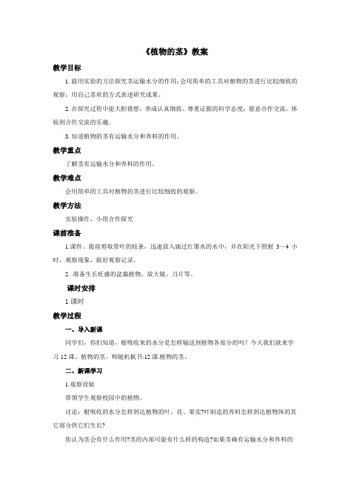 小学科学青岛版四年级上册《植物的茎》教案352