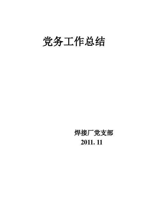 党支部工作总结11.28.doc