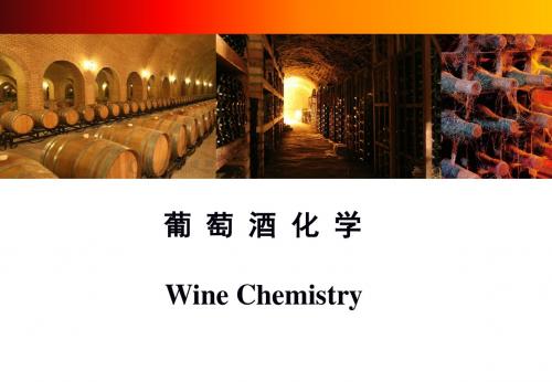 葡萄酒化学课件