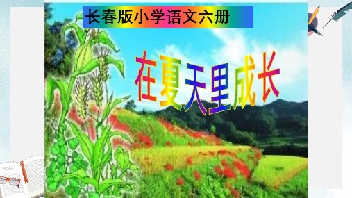 2019-2020年长春版三年级语文下册第六单元《在夏天里成长》课件共12张PPT