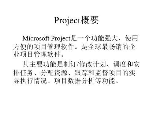 项目管理工具MSProject介绍