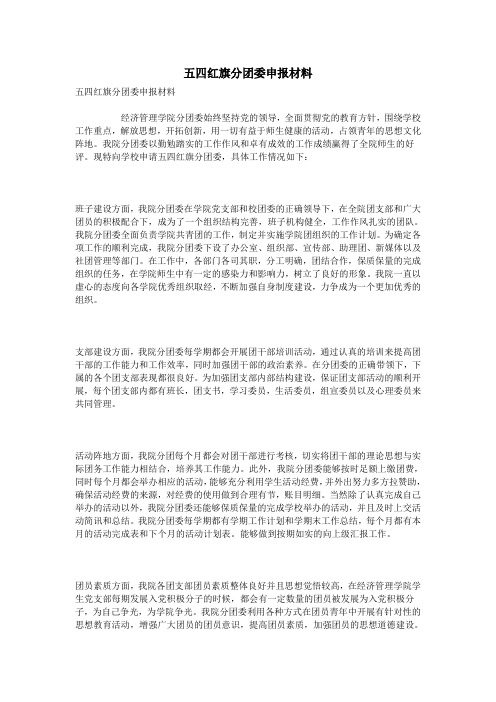五四红旗分团委申报材料