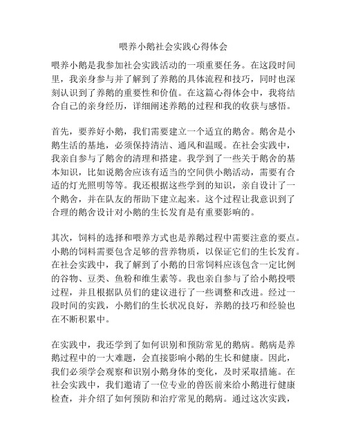 喂养小鹅社会实践心得体会