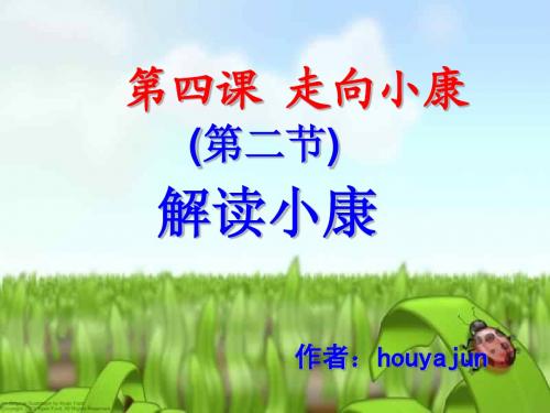2.1走向小康 课件9(政治教科版九年级全册)