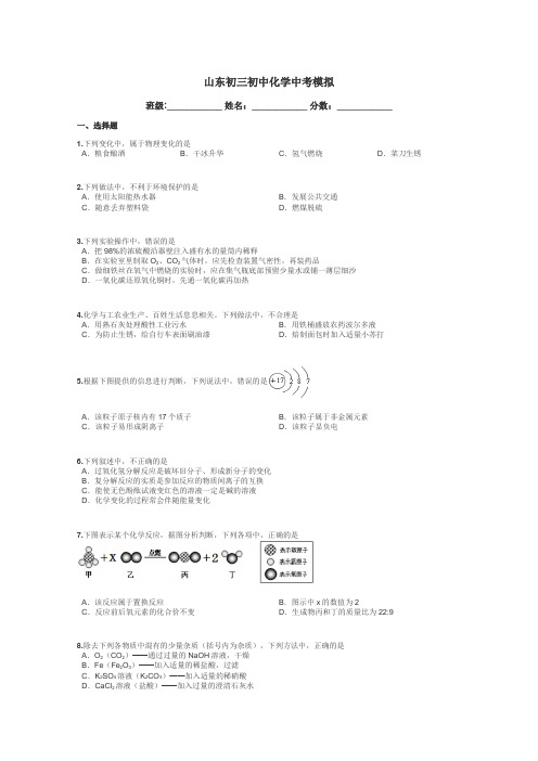 山东初三初中化学中考模拟带答案解析
