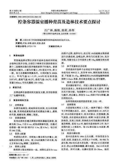 柠条容器温室播种育苗及造林技术要点探讨