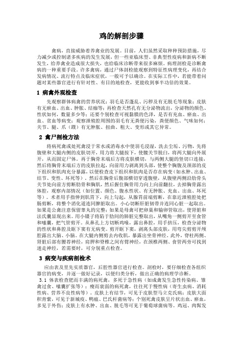 实用鸡的病理解剖步骤