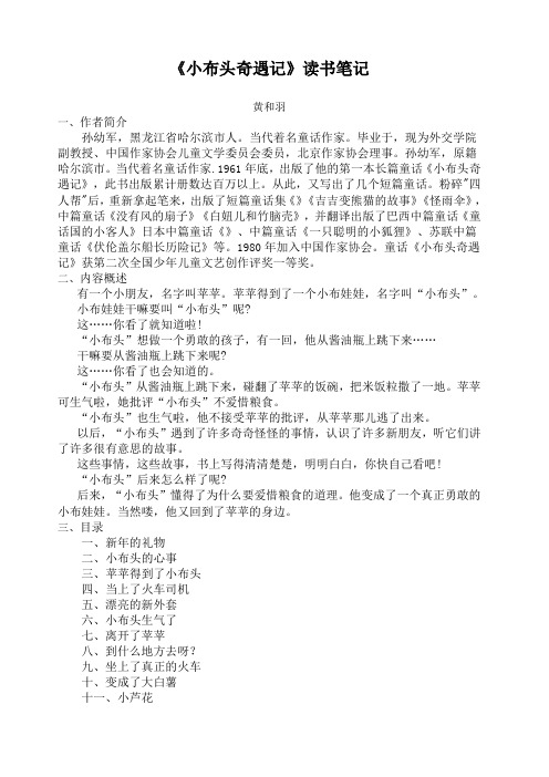 《小布头奇遇记》读书笔记