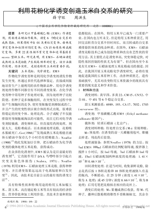 利用花粉化学诱变创造玉米自交系的研究