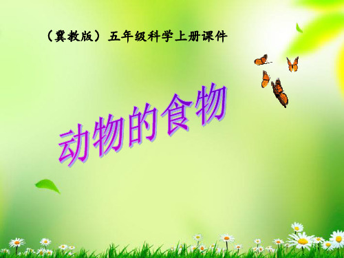 冀教版五年级科学上册5《动物的食物》 ppt课件