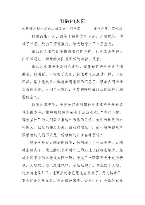 雨后的太阳