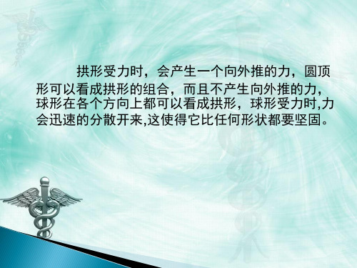 六年级科学上册课件 - 做框架   教科版