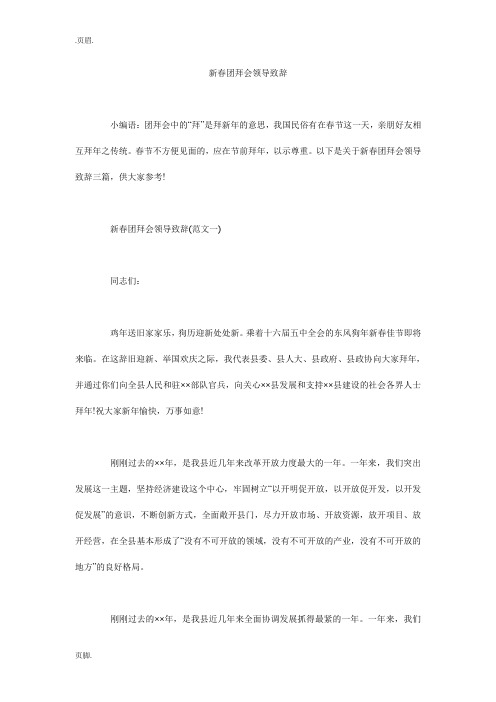 新春团拜会领导致辞_0
