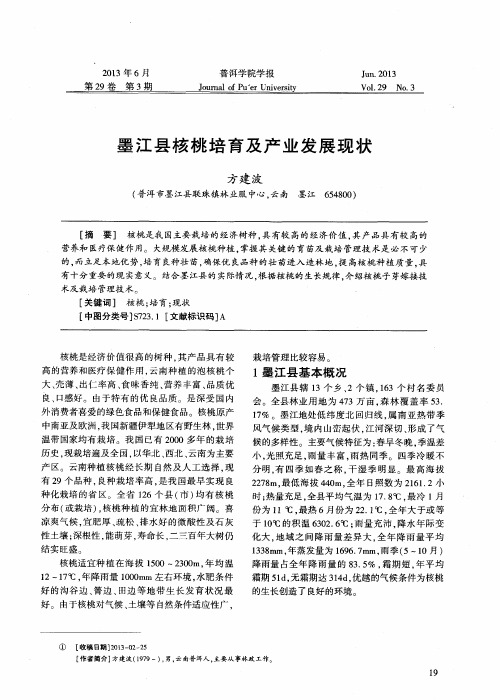墨江县核桃培育及产业发展现状