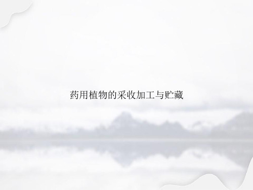 药用植物的采收加工与贮藏讲课文档