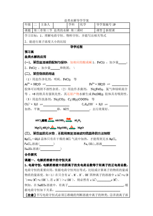 盐类水解第三课时学案