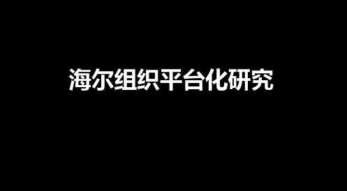 海尔平台化建设.ppt