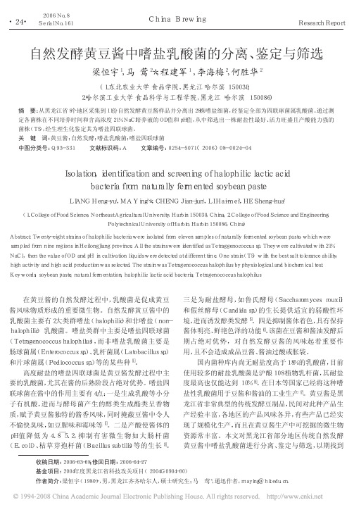 自然发酵黄豆酱中嗜盐乳酸菌的分离_鉴定与筛选
