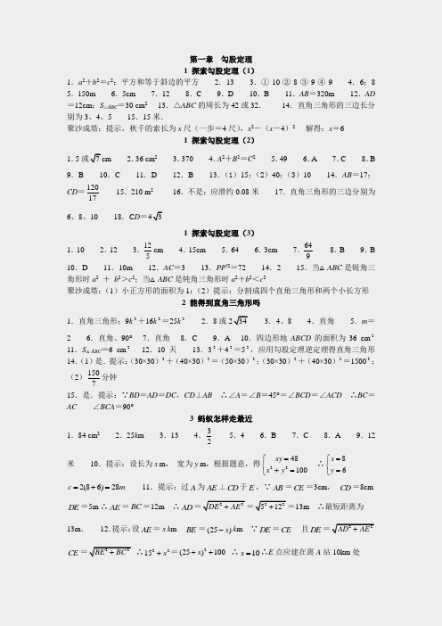 北师大版数学八年级上册同步练习集附答案答案打包203页-24