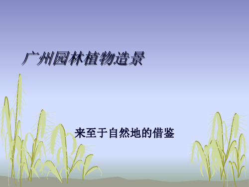 广州植物分析