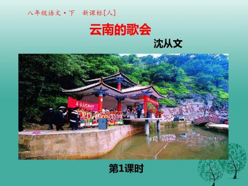 2017春八年级语文下册 第四单元 第16课 云南的歌会课件1 (新版)新人教版