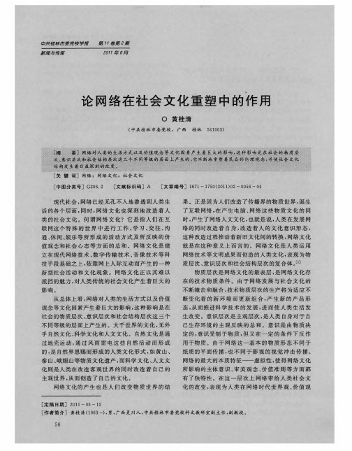 论网络在社会文化重塑中的作用
