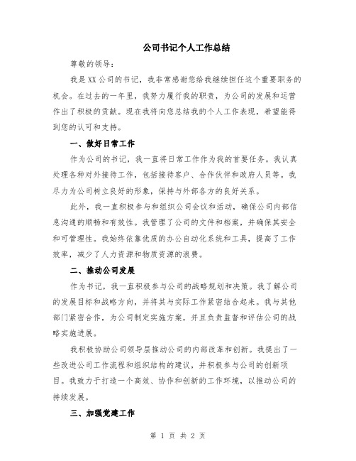 公司书记个人工作总结