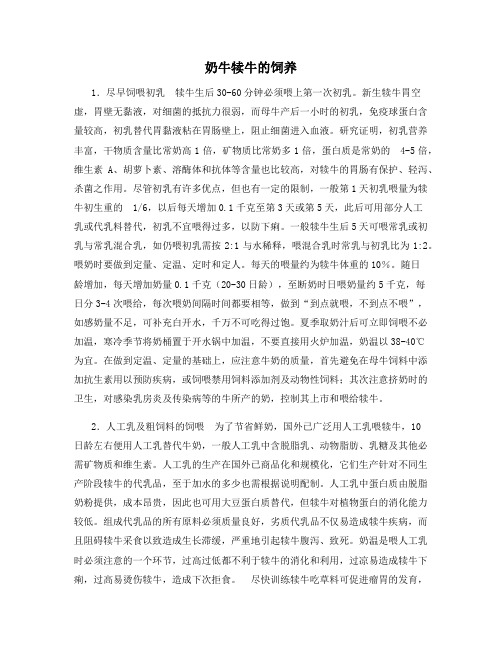 奶牛犊牛的饲养