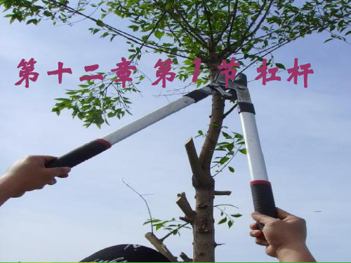 人教版八年级下册物理12.1《杠杆》课件(17张)