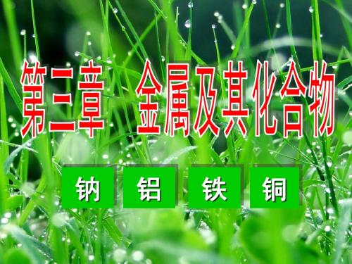 《钠及其化合物》课件(新人教版)