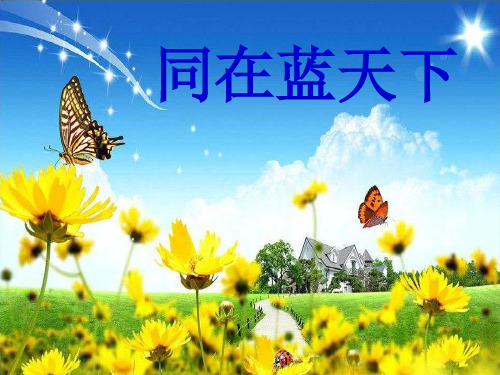 辽师大版思品与社会四下4.2同在蓝天下PPT课件22