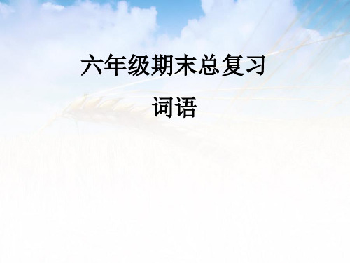 小升初语文总复习(词语)课件精品