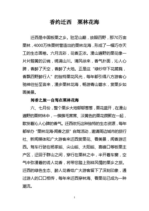 香约迁西  栗林花海