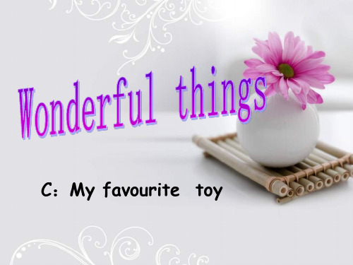 (牛津版七年级英语)预备课程lesson5 Wonderful things