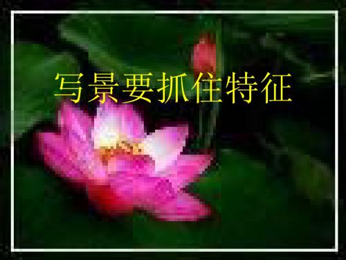 写景要抓住特征