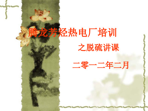 脱硫运行培训