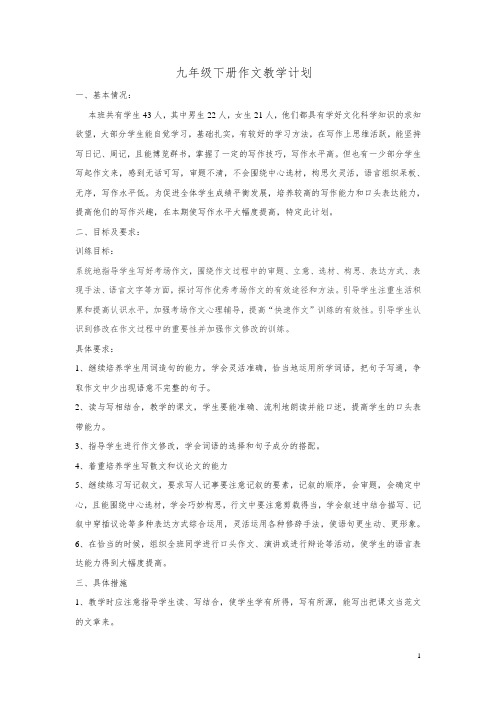 九年级下册作文教学计划