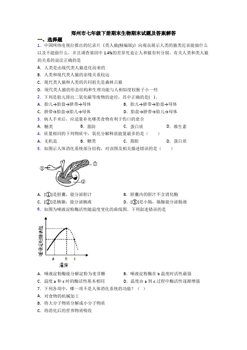 郑州市七年级下册期末生物期末试题及答案解答