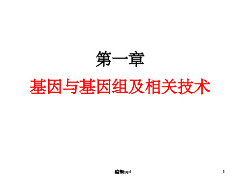 基因与基因组(1)