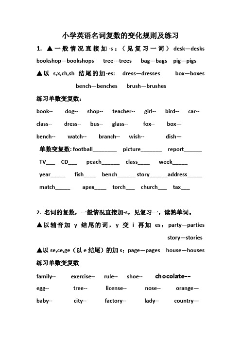小学英语名词复数的变化规则及练习