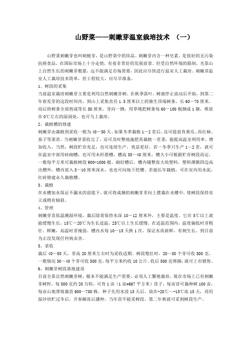 刺嫩芽温室栽培技术